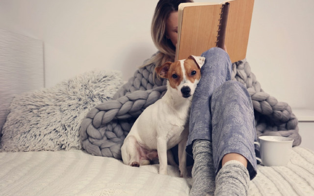 Woman reading book dog lap free wallpaper for desktop - medium preview image