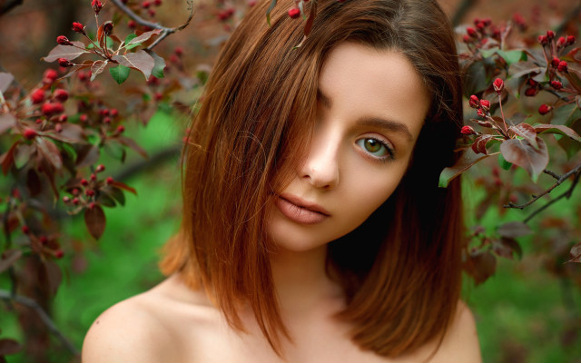 Woman blue eyes brown hair free wallpaper for desktop - medium preview image