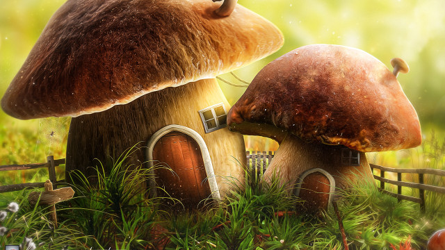 Mushroom house fence grass star free wallpaper for desktop - medium preview image