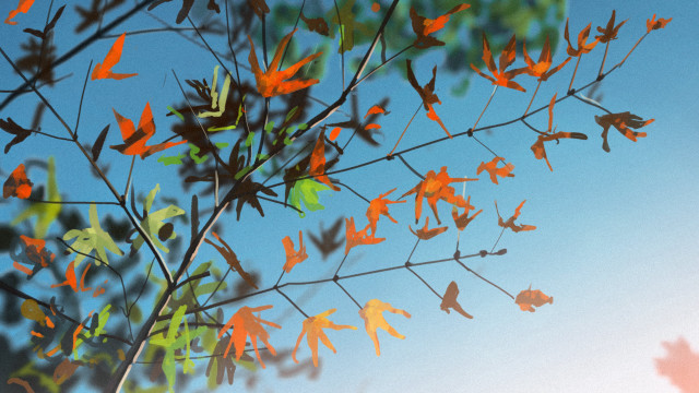 Orange leaves blue sky autumn free wallpaper for desktop - medium preview image