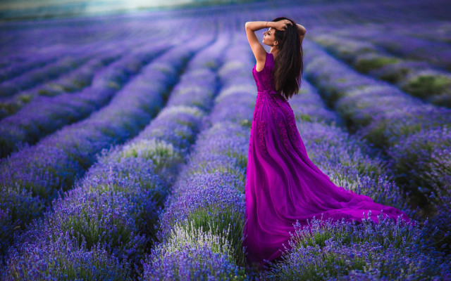 Purple dress lavender field flowers free wallpaper for desktop - medium preview image
