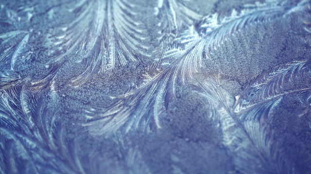 Frosty branch macro blue background free wallpaper for desktop - medium preview image