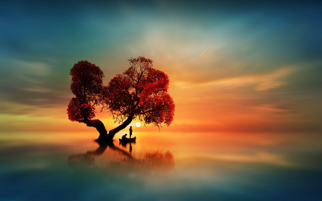Tree man sunset mystical colors free wallpaper for desktop - medium preview image