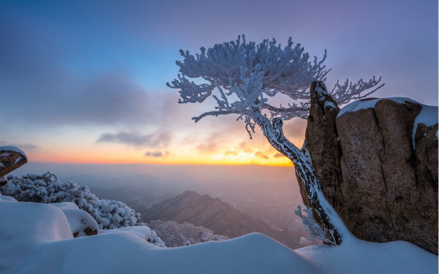 Snowy mountain sunset clouds tree free wallpaper for desktop - medium preview image