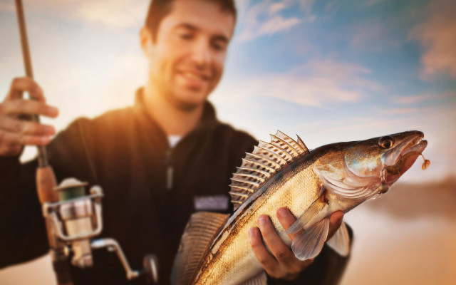 Man fishing fish portrait blurry free wallpaper for desktop - medium preview image