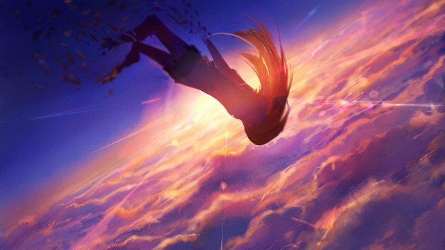 Bird sky clouds sunset cityscape free wallpaper for desktop - medium preview image