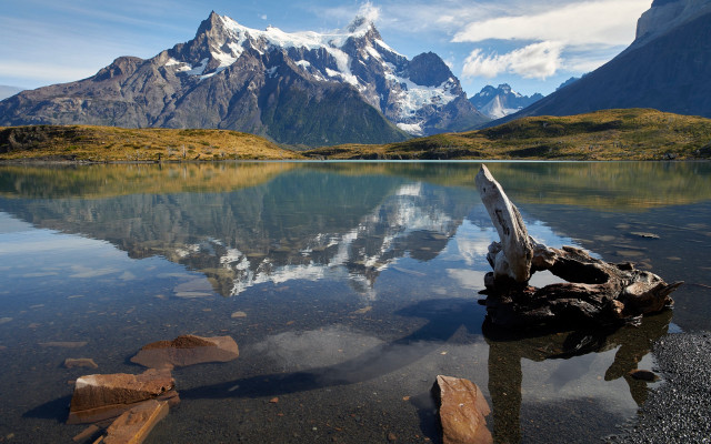 Mountain reflection lake fallen tree free wallpaper for desktop - medium preview image