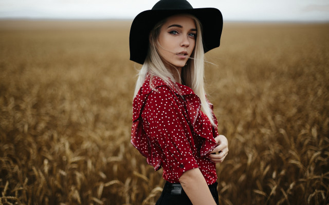Woman hat wheat field serious free wallpaper for desktop - medium preview image