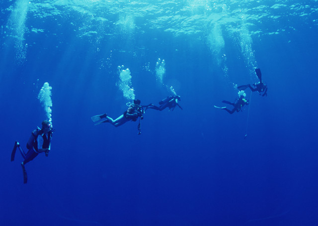 Scuba divers swimming ocean group free wallpaper for desktop - medium preview image