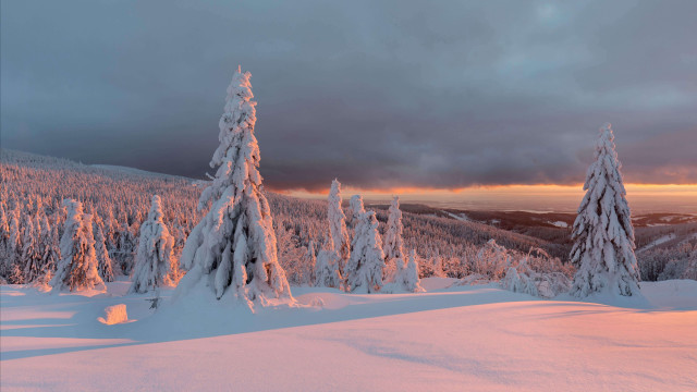 Snowy mountain trees sunset cloudy free wallpaper for desktop - medium preview image