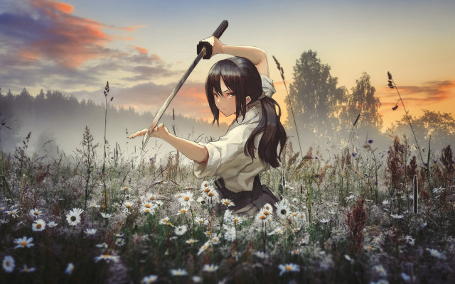 Woman sword field sunset clouds free wallpaper for desktop - medium preview image
