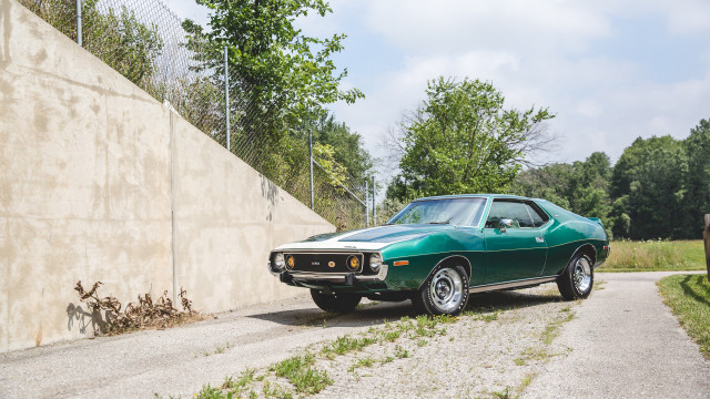 Green car cow nature road free wallpaper for desktop - medium preview image