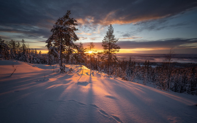 Sunset snowy mountain trees trail free wallpaper for desktop - medium preview image