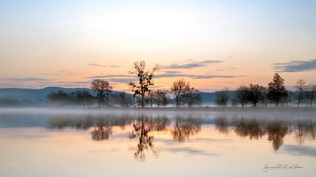 Lake foggy sky trees sunset free wallpaper for desktop - medium preview image