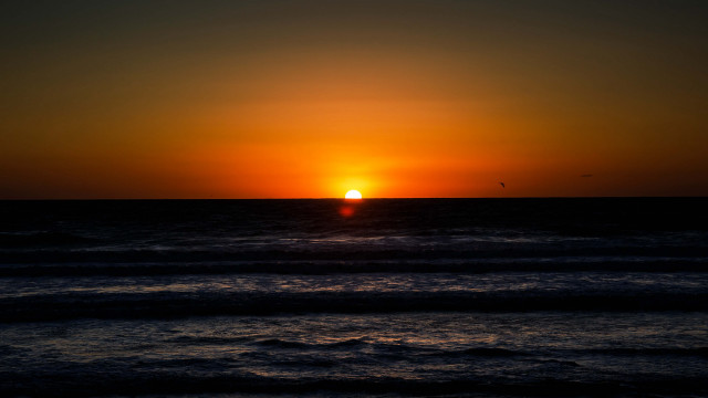 Sunset ocean bird boat mountain free wallpaper for desktop - medium preview image