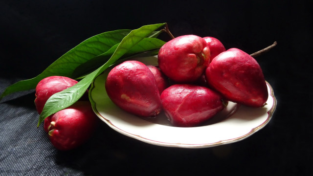 Red apples white plate green free wallpaper for desktop - medium preview image
