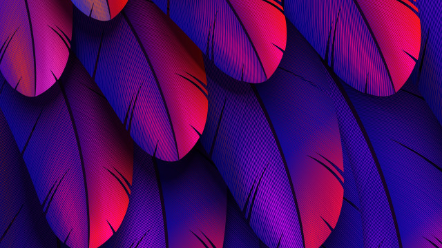 Purple red feathers red circle free wallpaper for desktop - medium preview image