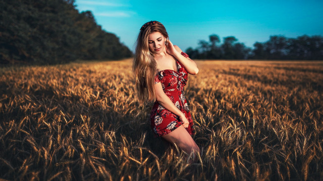 Woman red dress wheat field #3 free wallpaper for desktop - medium preview image