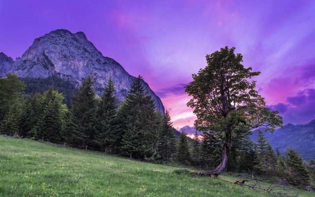Tree mountains sunset purple sky free wallpaper for desktop - medium preview image