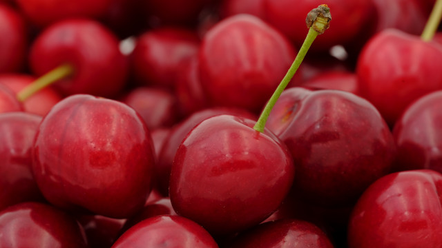 Cherry closeup greenstem macro blurry free wallpaper for desktop - medium preview image