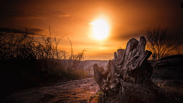 Wooden bench sunset clouds tree free wallpaper for desktop - medium preview image