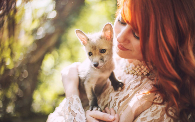 Woman fox forest illustration bokeh free wallpaper for desktop - medium preview image