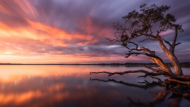Water tree sunset autumn clouds free wallpaper for desktop - medium preview image