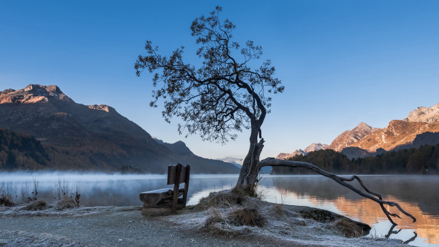 Lone tree island lake mountains free wallpaper for desktop - medium preview image