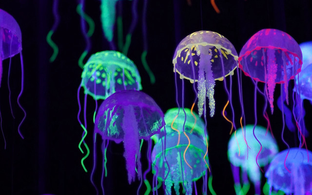 Jellyfish glow night bioluminescence hologram free wallpaper for desktop - medium preview image