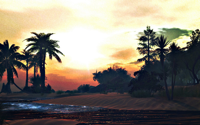 Sunset river palm trees cloudy free wallpaper for desktop - medium preview image