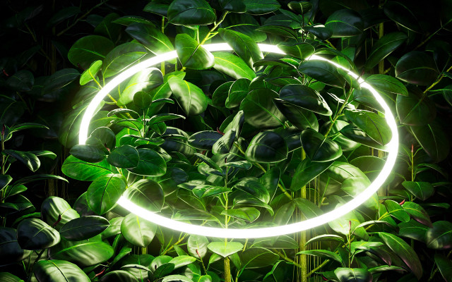 Light circle green leaves night free wallpaper for desktop - medium preview image