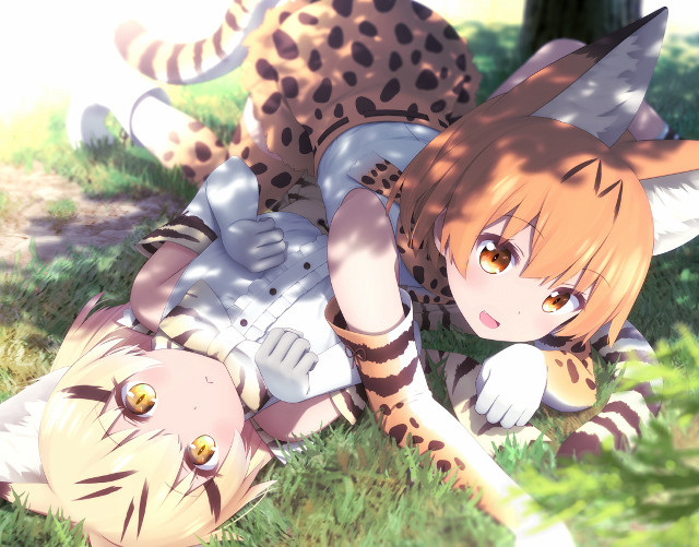 Girl cheetah laying grass field free wallpaper for desktop - medium preview image