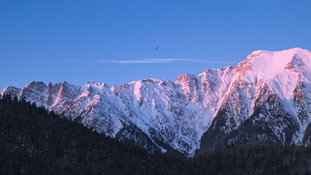 Mountain bird sunset pink clouds free wallpaper for desktop - medium preview image