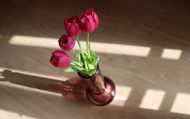 Vase flowers table shadow outdoors free wallpaper for desktop - medium preview image
