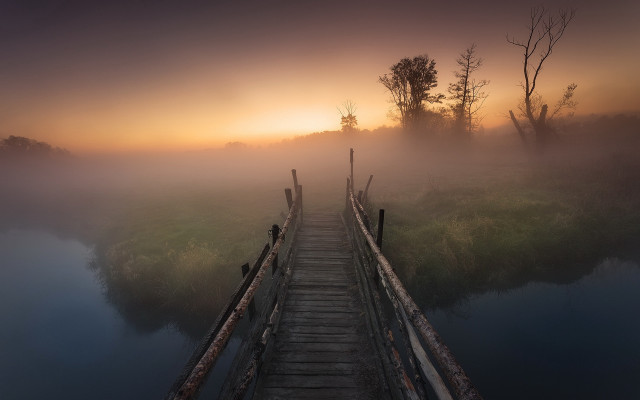 Wooden bridge sunset fog trees free wallpaper for desktop - medium preview image