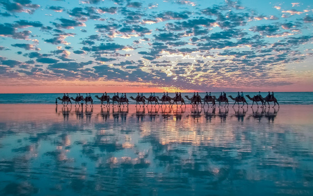 Horse riding water sunset beach free wallpaper for desktop - medium preview image
