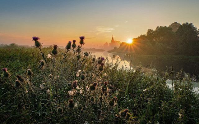 River flowers castle sunset ecological free wallpaper for desktop - medium preview image