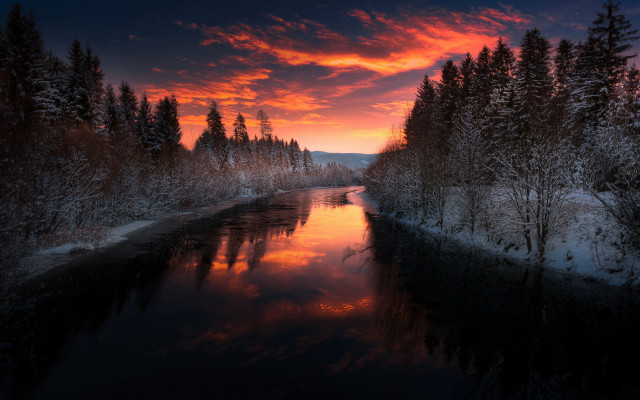 River sunset trees snow forest free wallpaper for desktop - medium preview image