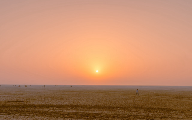 Beach kite sunset group ocean free wallpaper for desktop - medium preview image