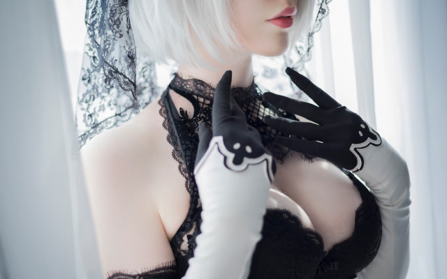 Gothic cosplay silverhair blackdress cat free wallpaper for desktop - medium preview image
