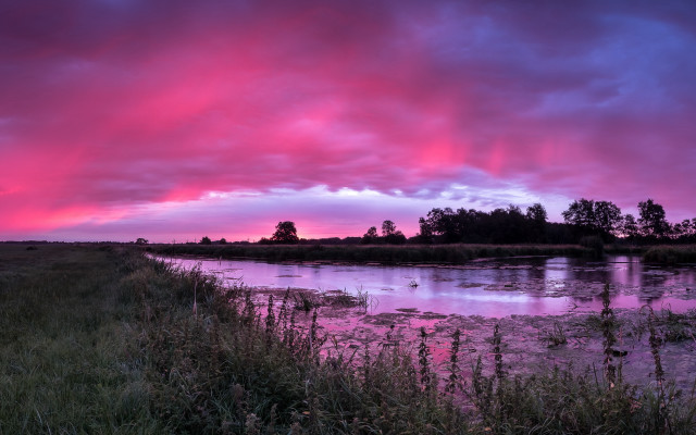 Pink sky river trees birds free wallpaper for desktop - medium preview image