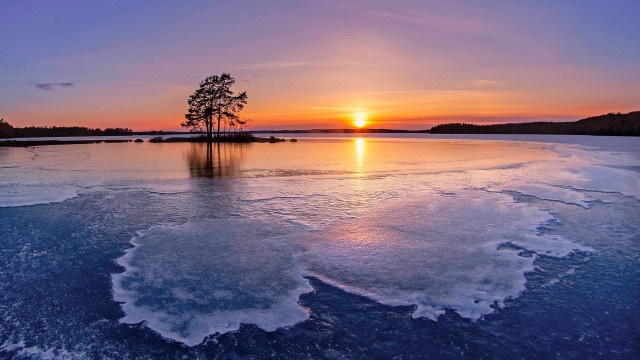 Sunset frozen lake lone tree free wallpaper for desktop - medium preview image