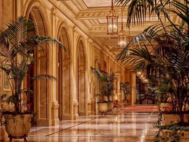 Large hallway chandelier plants ceiling free wallpaper for desktop - medium preview image