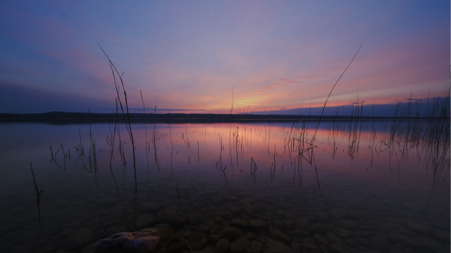 Lake plants sunset burndfasching anamorphic free wallpaper for desktop - medium preview image