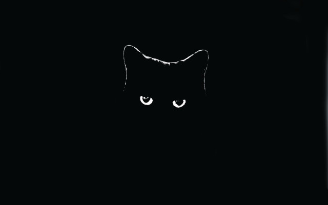 Black cat white eye crescent free wallpaper for desktop - medium preview image