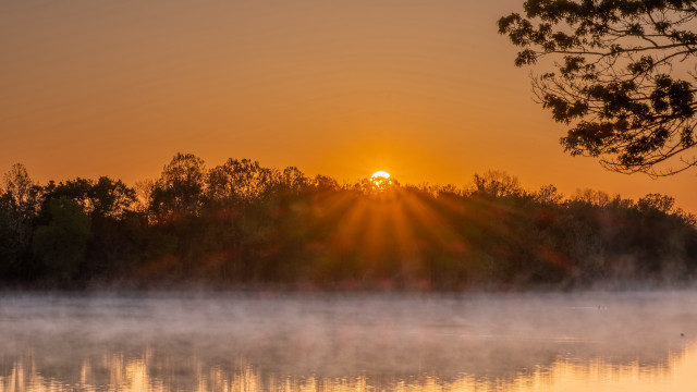 Foggy lake autumn sunset trees free wallpaper for desktop - medium preview image