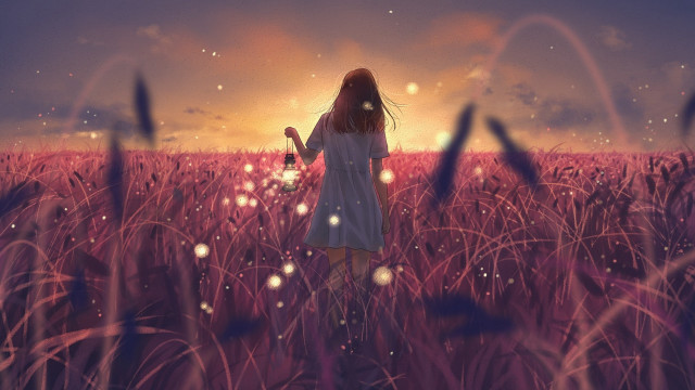 Girl field sunset flower fireflies free wallpaper for desktop - medium preview image