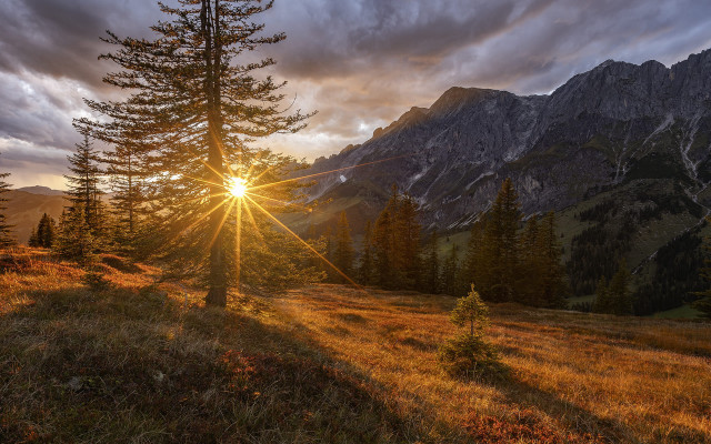 Sunbeam mountain range trees grass free wallpaper for desktop - medium preview image