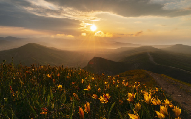 Sunset mountain flowers trail autumn free wallpaper for desktop - medium preview image
