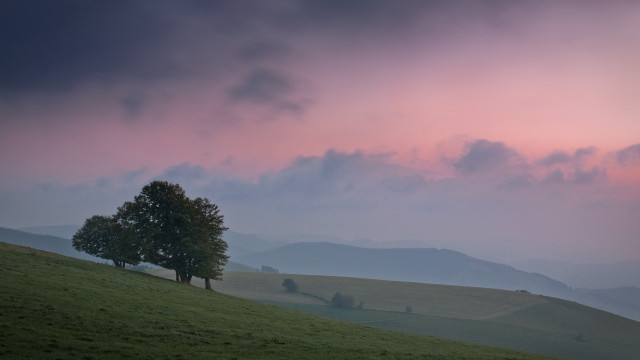 Lone tree grassy hill cloudy #3 free wallpaper for desktop - medium preview image